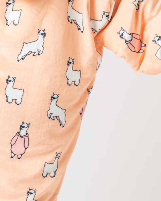 lama960x1200-6.jpg